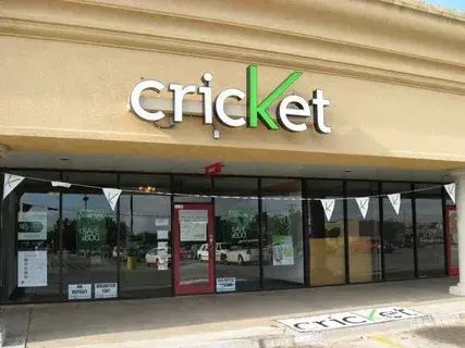 cricket shop near me