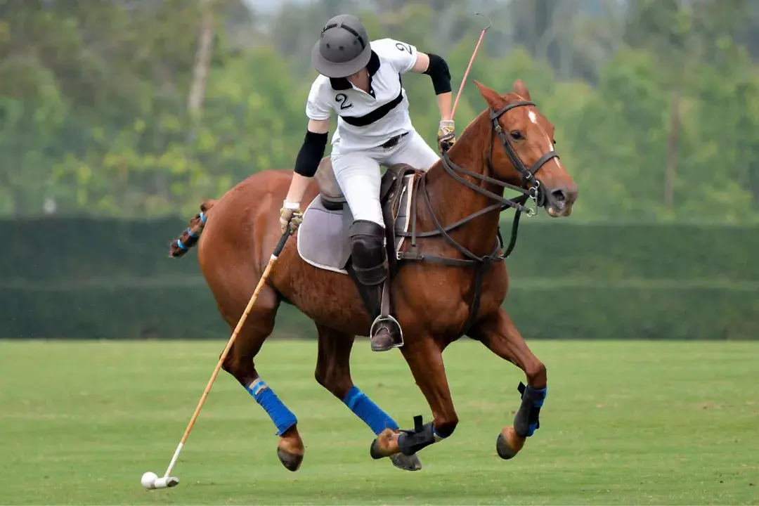 Polo Match Hats